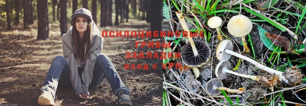 дурь Балахна