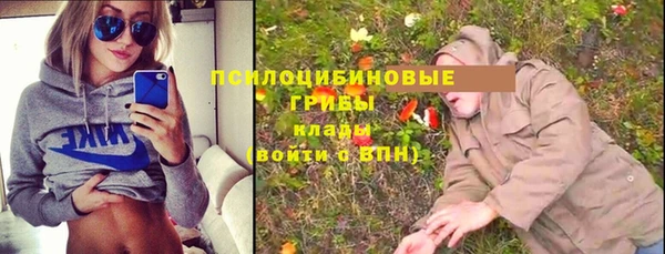 дурь Балахна