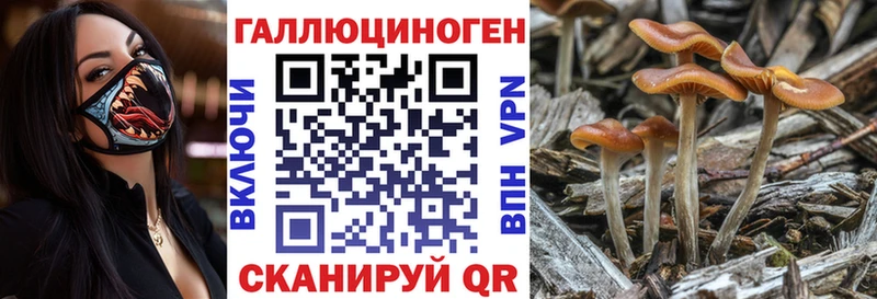 Галлюциногенные грибы MAGIC MUSHROOMS  купить наркоту  Семилуки 