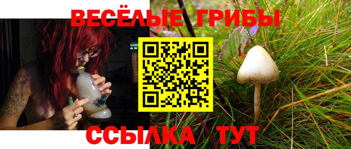 Семилуки  Псилоцибиновые грибы прущие грибы  как найти наркотики  Вход с VPN 